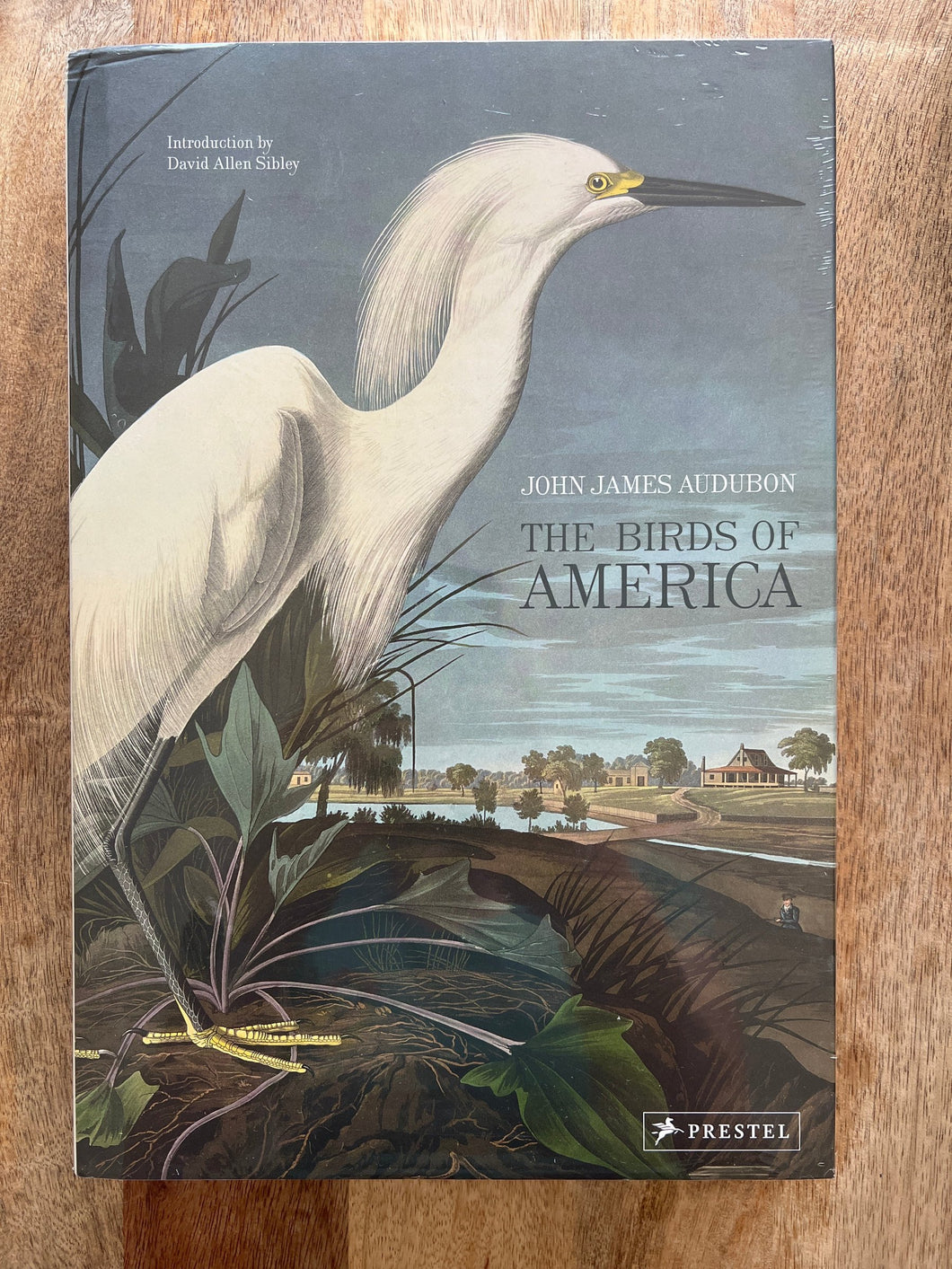 The Birds of America