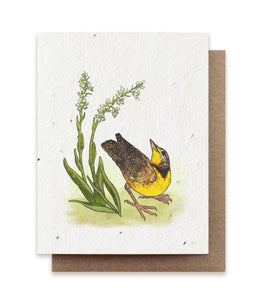 Meadowlark + Prairie Orchid Plantable Herb Seed Card