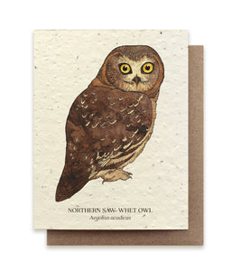 Owl Bird Greeting Cards - Plantable Seed Paper