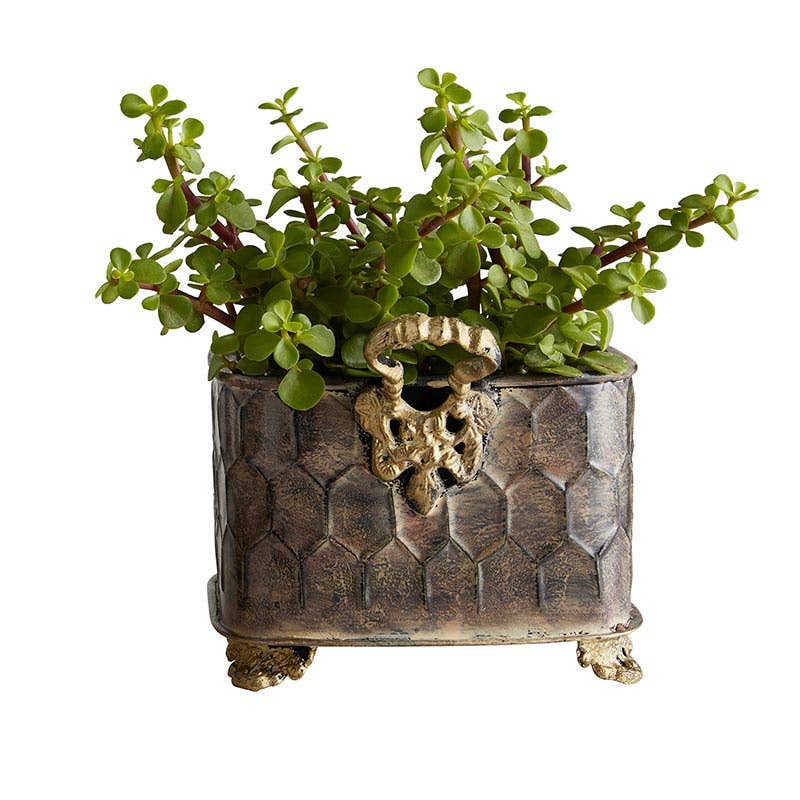small brass plant pot Creative Brands Amr924 Rectangle Embossed Planter, Small